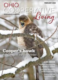 magazine cover with a hawk on it