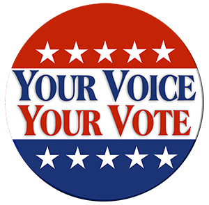 Your Voice Your Vote